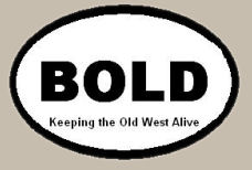 Bold Oval Bumper Sticker